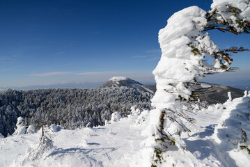 八ヶ岳の景色　北横岳山頂から見る蓼科山