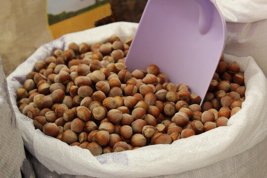 Igp Bilder Durchsuchen 1,190 Archivfotos, und Videos