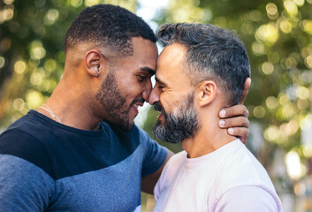 Multiracial gay couple kissing outdoors