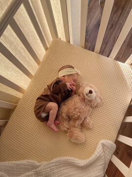 Little baby sleeping in cot with big teddy bear.
