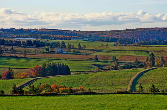 Early morning vista in autumn, South Granville, Prince Edward Island, Canada