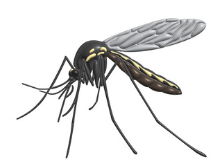 mosquitoes in transparent background pattern