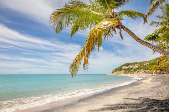 Idyllic Espelho Beach in Trancoso at sunny day, Bahia, Northeastern Brazil © Aide