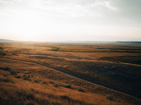Native prairie grass in the summer.