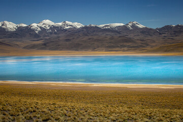 Obraz premium Laguna Miscanti, salt lake in Atacama desert, volcanic landscape, Chile