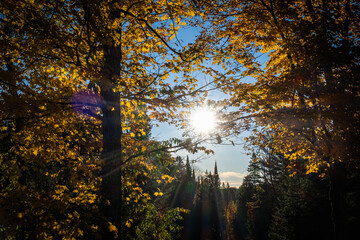 Sun shining through fall color trees over lake