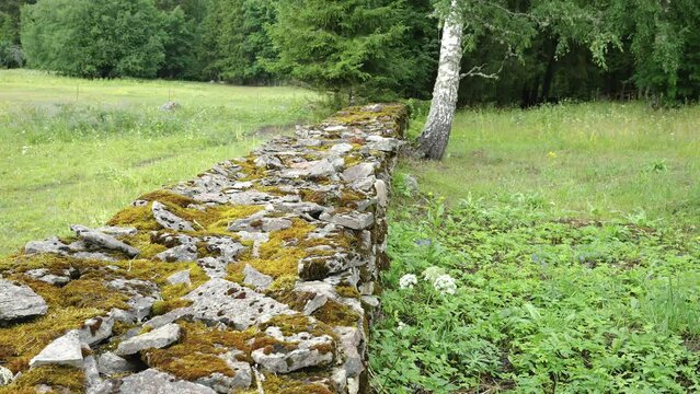 The wall made of rocks are covered with lychens with the trees on the side in Estonia