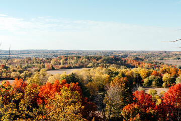 Fototapeta premium Autumn landscape colorful top view
