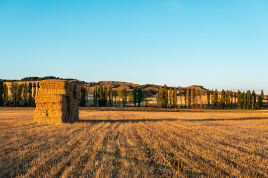 Hay bale stacked in the field