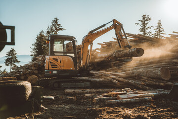 excavator at dusty log site