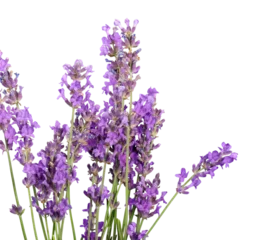 Muurstickers Lavender flowers isolated on white background © BillionPhotos.com