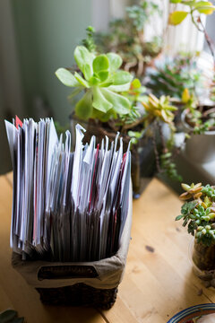 Succulents and a basket of mail with Christmas cards on table