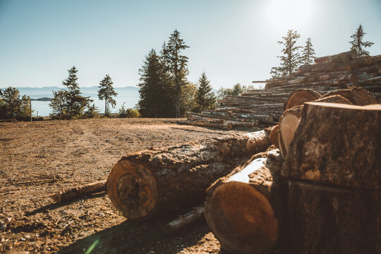 pile of wood next to the ocean