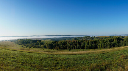 Panorama of the Forest at the bottom. morning fog