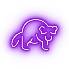 Neon purple raccoon icon, glowing panda icon on transparent background