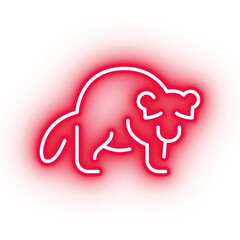 Neon red raccoon icon, glowing panda icon on transparent background