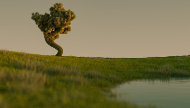 Green Grass field
