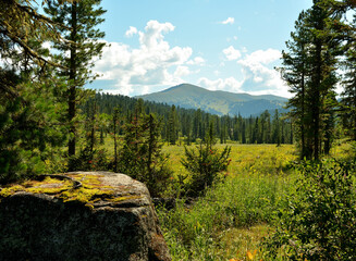 Obraz premium A look at the airfield in the forest through pine trunks and large stones.