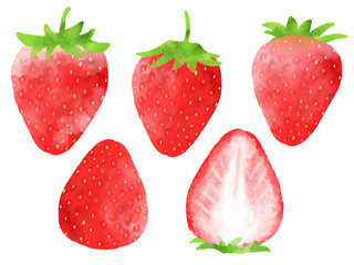 苺のイラスト　手描き　水彩風