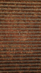 Vista a&eacute;rea de campo Agave en Tequila Jalisco