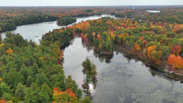 Fall colours Canadian shield with lake