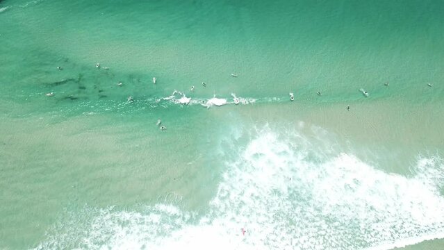 Drone aerial of a surfer catching a wave at a beach with beautiful clear blue water
