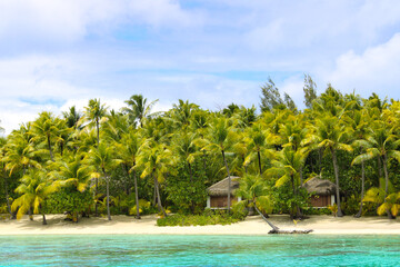 Tropical white beach with palm trees and bungalows  