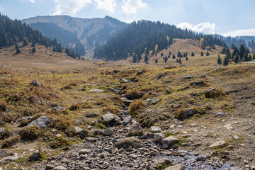 Autumn landscape of grassless hills, pine trees, blue sky and walking trails. Autumn in rural Kazakhstan