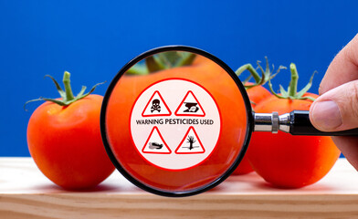 Magnified label on tomato, warning of environmental damage caused by pesticide and herbicide use in...