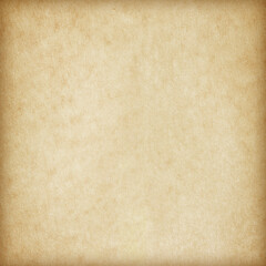 Old Paper texture. vintage paper background or texture; brown paper texture