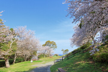 春の公園