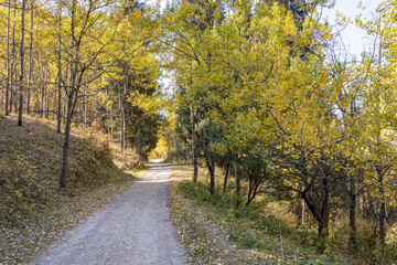Autumn landscape - blue sky, yellow ground, mountains and hills, green and yellow foliage of the forest trees