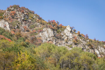 Autumn landscape - blue sky, yellow ground, mountains and hills, green and yellow foliage of the forest trees