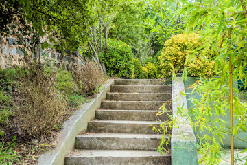 Concrete stairway into bushes and trees