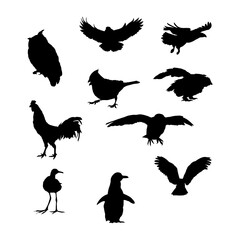 aves hand drawing vector illustration isolated on background.