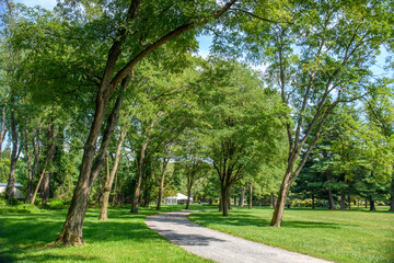 path in the park