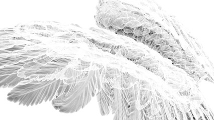 White and black gradient patterned wings under white lighting background. Concept 3D CG of free activity, decision without regret and strategic action.  X-ray view. PNG file format.