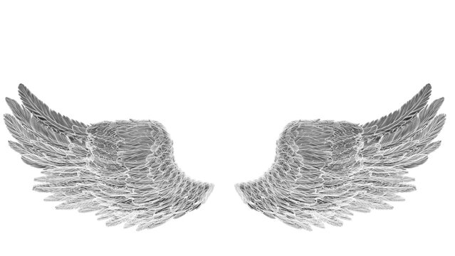 White and black gradient patterned wings under white lighting background. Concept 3D CG of free activity, decision without regret and strategic action.  X-ray view. PNG file format.