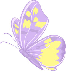 Fototapeta na wymiar illustration Beautiful butterfly paint