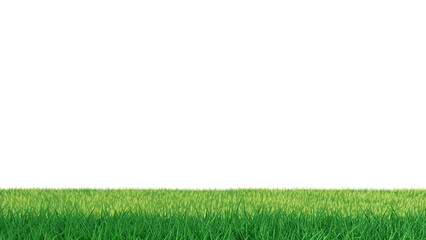 3D Green grass field background