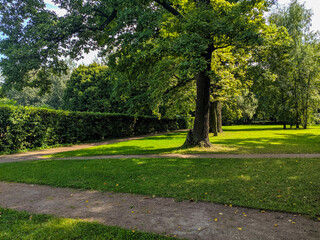 View of the park area with landscape design in the museum-estate Kuskovo. Tall oaks grow along the alley on a green lawn. Moscow, Russia