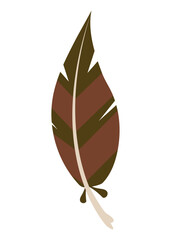 turkey brown feather