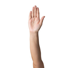 Closeup Beautiful female hand rise hand gesture Isolated on white transparent background. Set of woman palms raised praise concept for people thumb nail solution.