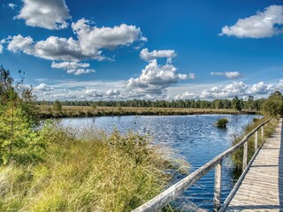 Wandern im Pietzmoor