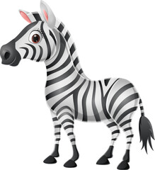 Fototapeta na wymiar Cute baby zebra on white background