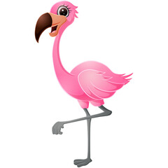 Cute flamingo on white background