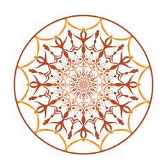 lace illustration, decoration pattern