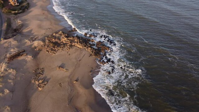 Clean Punta del Este beach with dogs playing around Altantic coast Uruguay