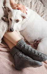 Legs of a young girl in cozy knitted socks