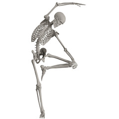 skeleton posing 3d render illustration